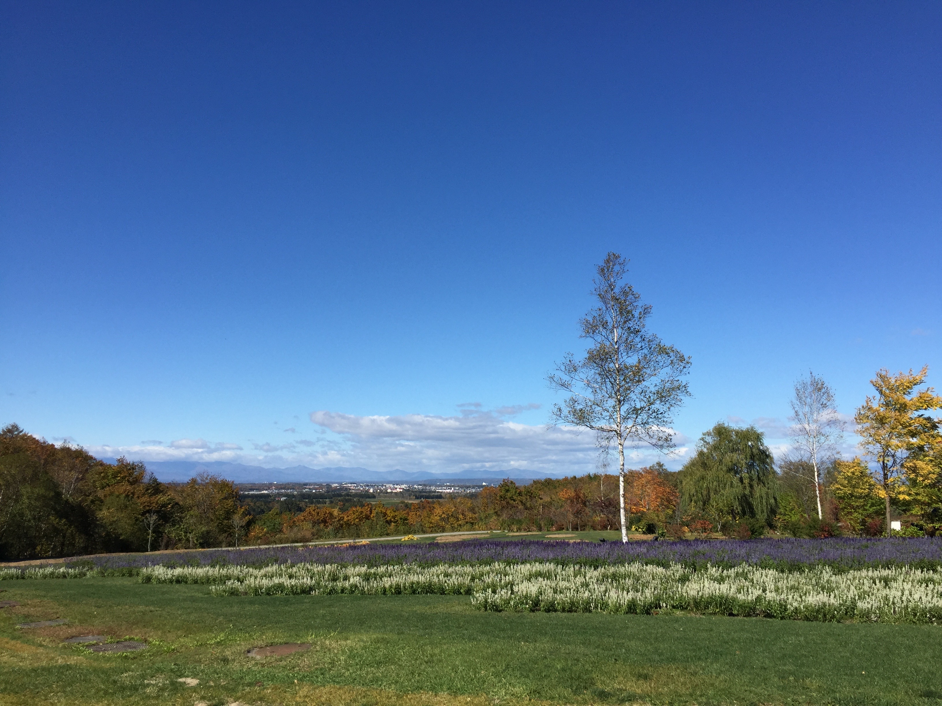 PCカンファレンス北海道